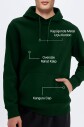 Peak Erkek Yeşil Pamuklu Kanguru Cepli Kapüşonlu Sweatshirt | 7017 - 3